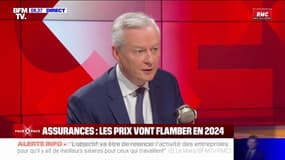 Assurances: "Nous veillerons à ce que les augmentations soient raisonnables", assure Bruno Le Maire 