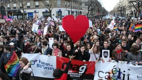 Manifestants pro-mariage homosexuel dimanche 27 janvier à Paris.