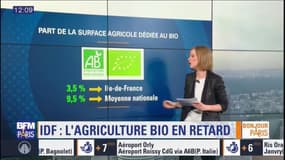 Paris Scan: l'agriculture bio en retard en Ile-de-France