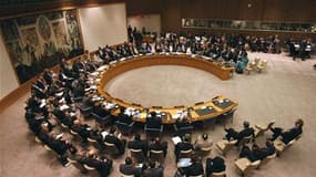 Le Conseil de sécurité des Nations unies qui doit se réunir ce vendredi à New York étudiera un projet de résolution franco-britannique sur la Libye qui réclame un embargo total sur les armes et des sanctions financières, a déclaré Michèle Alliot-Marie. /P