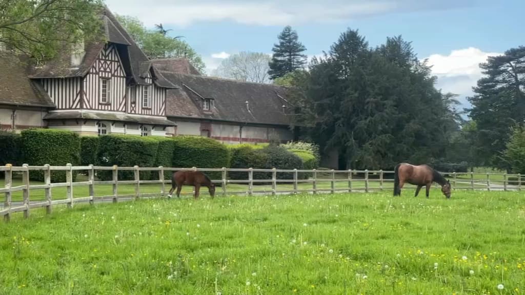 Michel Sardou avait ses habitudes dans le haras du Quesnay à Vauville.