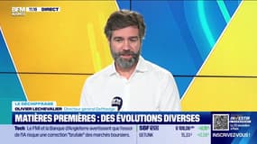 Matières premières : des évolutions diverses 