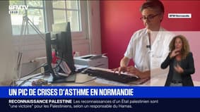 La Normandie fait face à un début de vague de crises d'asthme, notamment chez les enfants de moins de 15 ans