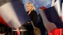Le Front national n'a pas réussi au premier tour des législatives, où il est crédité de près de 14% des voix, à atteindre le score "historique" de Marine Le Pen à la présidentielle (17,9%) mais conserve l'espoir d'avoir des élus. /Photo prise le 10 juin 2