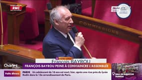 François Bayrou peine à convaincre à l'Assemblée 