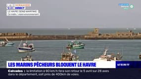 Le Havre: le port bloqué par des pêcheurs pour dénoncer des réglementations européennes