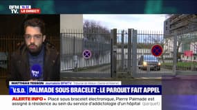 Pierre Palmade sous bracelet électronique, appel du parquet: le point sur l'affaire
