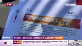 Dengue: Colombes se prépare à la démoustication