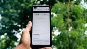 Malgré l'explosion des services d'intelligence artificielle générative comme ChatGPT, les taux d'emplois dans les pays de l'OCDE sont à des plus hauts historiques.