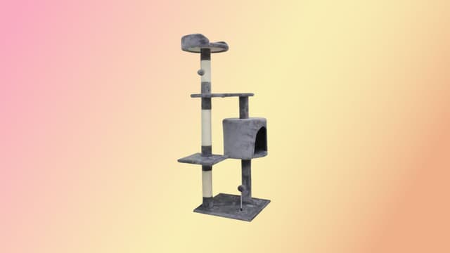 Cet arbre à chat à moins de 40 euros est le meilleur achat pour votre compagnon