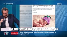 «Les 3 histoire de Charles Magnien » : Le gouvernement japonais se mobilise pour booster la natalité, et deux loutres britanniques ont trouvé l'amour sur Internet - 09/12