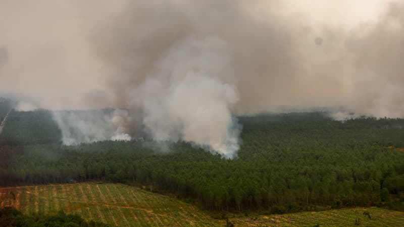 DIRECT. Incendies en France: Sébastien Lecornu prévient que "les prochaines heures peuvent être difficiles" en Gironde