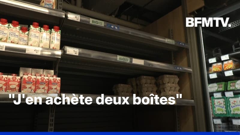 Pourquoi les rayons oeufs sont-ils régulièrement vides?