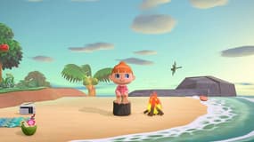 Le jeu de Nintendo Switch Animal Crossing New Horizons est disponible à petit prix