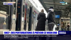 Mobilisation contre la réforme des retraites: le trafic ferroviaire perturbé ce week-end en Normandie