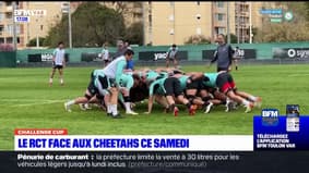 Rugby: le RCT prépare son match face aux Cheetahs ce samedi