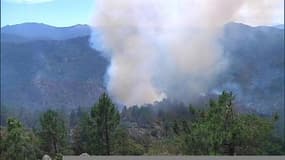 110 d'hectares de pins et châtaigniers brûlés par un incendie dans le Gard