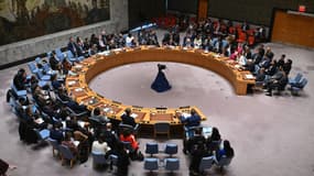 Le Conseil de sécurité de l'ONU le lundi 25 mars