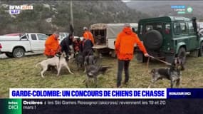 Garde-Colombe: un concours de chiens de chasse organisé ce week-end