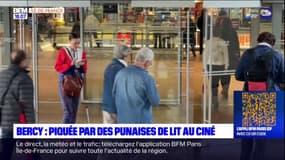 Paris: des punaises de lits présentes dans les sièges d'un cinéma?