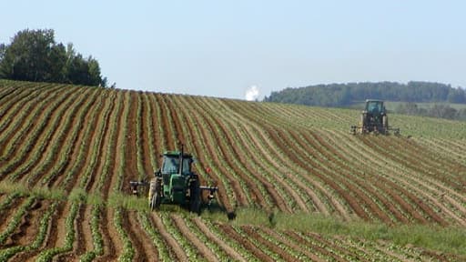 Les charges sur l'agriculture seront allegées de 700 millions, selon la FNSEA.
