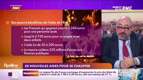 Le détail des nouvelles aides pour les Français qui se chauffent au bois