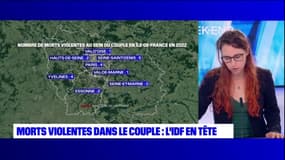 L'Île-de-France enregistre le plus de morts violentes au sein du couple en Hexagone