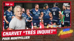 Top 14 : Charvet "très, très inquiet" pour Montpellier
