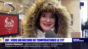 Île-de-France: les températures pourraient atteindre un record pour le 31 décembre