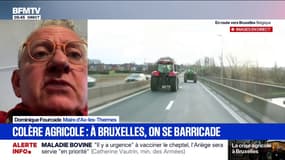 Blocages agricoles: "Les denrées alimentaires ont beaucoup de mal à arriver chez nous", affirme le maire d'Ax-les-Thermes, Dominique Fourcade