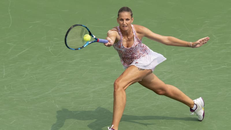 K. Pliskova
