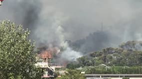 Incendie à Castagniers : bombardiers d'eau en action - Témoins BFMTV