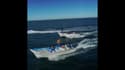 Des braconniers attaquent le bateau d’une ONG en Californie
