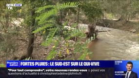 Une semaine après les inondations, le sud-est est sur le qui-vive à l'approche des pluies orageuses attendues en fin de semaine