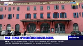 Alpes-Maritimes: la fermeture de la ligne ferroviaire Nice-Tende pour travaux inquiète les usagers