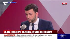 Gouvernement Bayrou: "Si on demandait des impôts nouveaux, nous censurerions", assure Jean-Philippe Tanguy (RN)