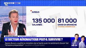 Le secteur de l'aéronautique peut-il survivre ? - 01/07