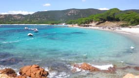 La plage de Palombaggia en Corse en juillet 2011. 
