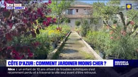Les bons plans BFM Nice Côte d'Azur: comment jardiner moins cher
