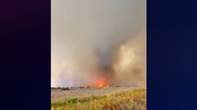 Une tornade feu, le 12 août 2022 en Gironde.