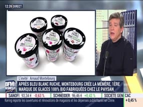Arnaud Montebourg (Entrepreneur équitable) : La Mémère, première marque de glaces 100% bio fabriquée chez le paysan - 12/02