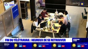 Fin du télétravail : heureux de se retrouver