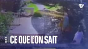 Les images de l'agression d'une octogénaire à Cannes