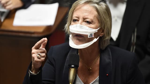 La secrétaire d'Etat chargée des Personnes handicapées Sophie Cluzel, le 17 novembre 2020 à l'Assemblée nationale.