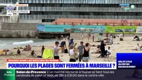 Marseille: pourquoi les plages sont-elles interdites à la baignade?