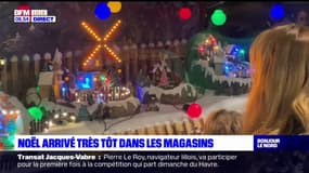 Les décorations de Noël sont déjà dans les rayons des magasins