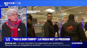 Sylvie Colas, secrétaire nationale de la Confédération paysanne, sur la fin des blocages: "Personne n'aurait dû rentrer à la maison"