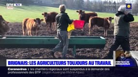 Coronavirus: près de Lyon, les agriculteurs toujours au travail