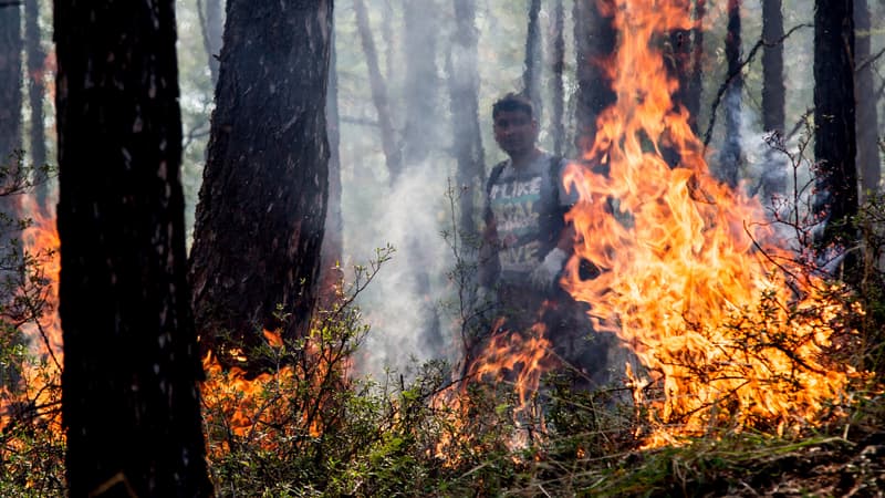 Feux de forêt en Sibérie, 28 juillet 2015 - Petr Shelomovskiy (photo d'illustration)