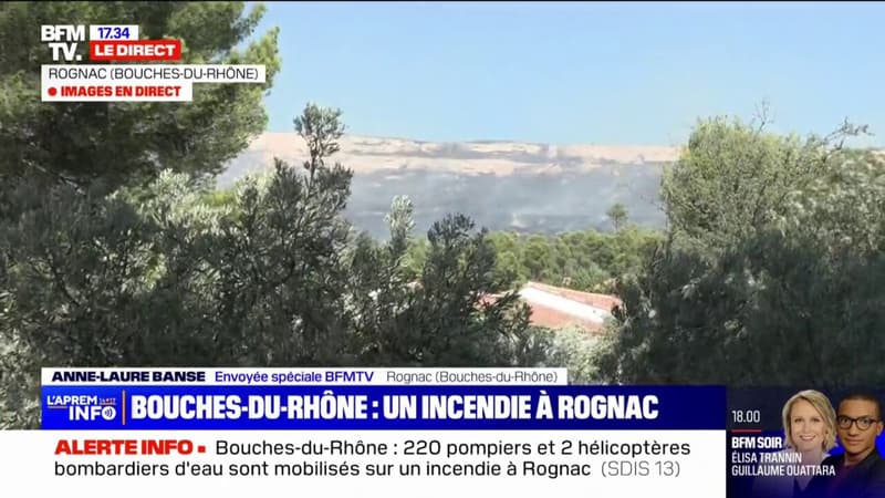 Incendie dans les Bouches-du-Rhône: 220 sapeurs-pompiers mobilisés dans la commune de Rognac pour ralentir la progression des flammes